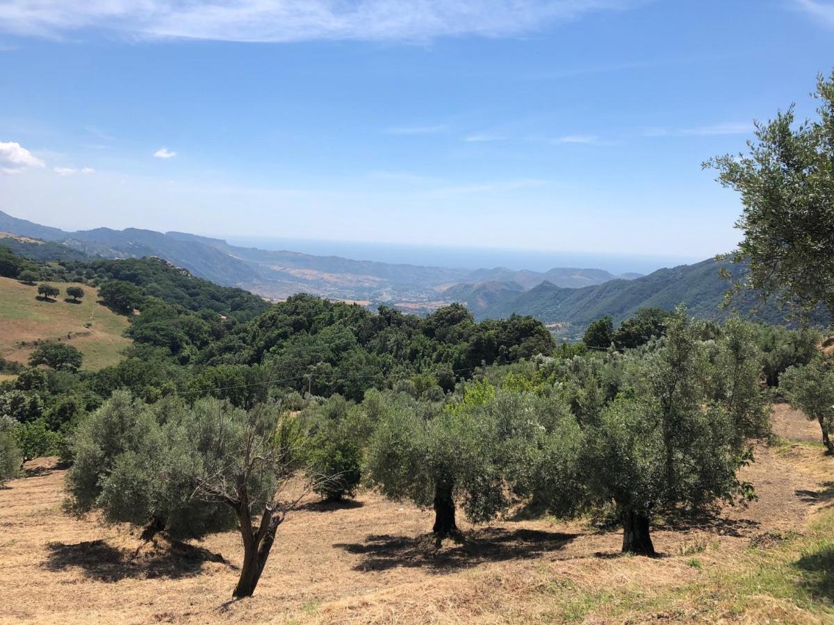 Il Giardino Degli Aranci Aparthotel Antonimina Bagian luar foto